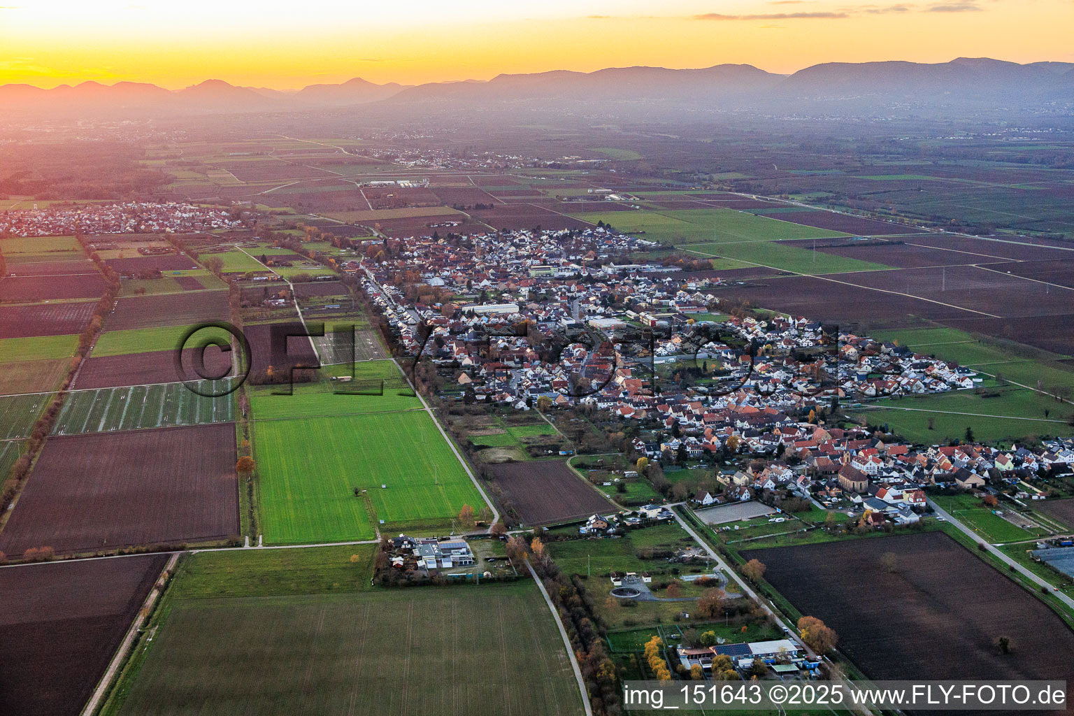 Vue aérienne de De l'est à le quartier Niederlustadt in Lustadt dans le département Rhénanie-Palatinat, Allemagne