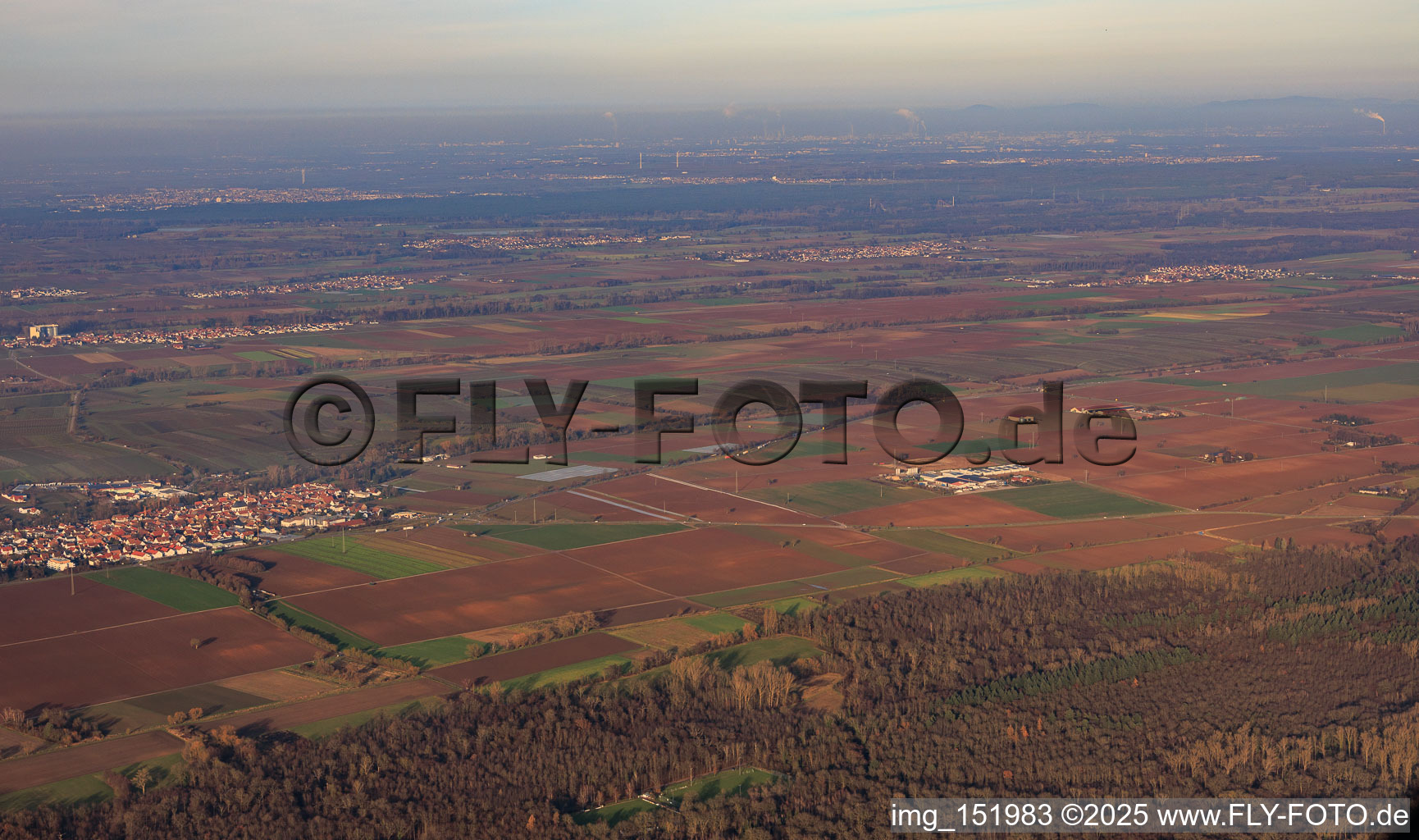 Vue aérienne de Champs d'hiver entre Zeiskam et Hochstadt du sud à le quartier Niederhochstadt in Hochstadt dans le département Rhénanie-Palatinat, Allemagne