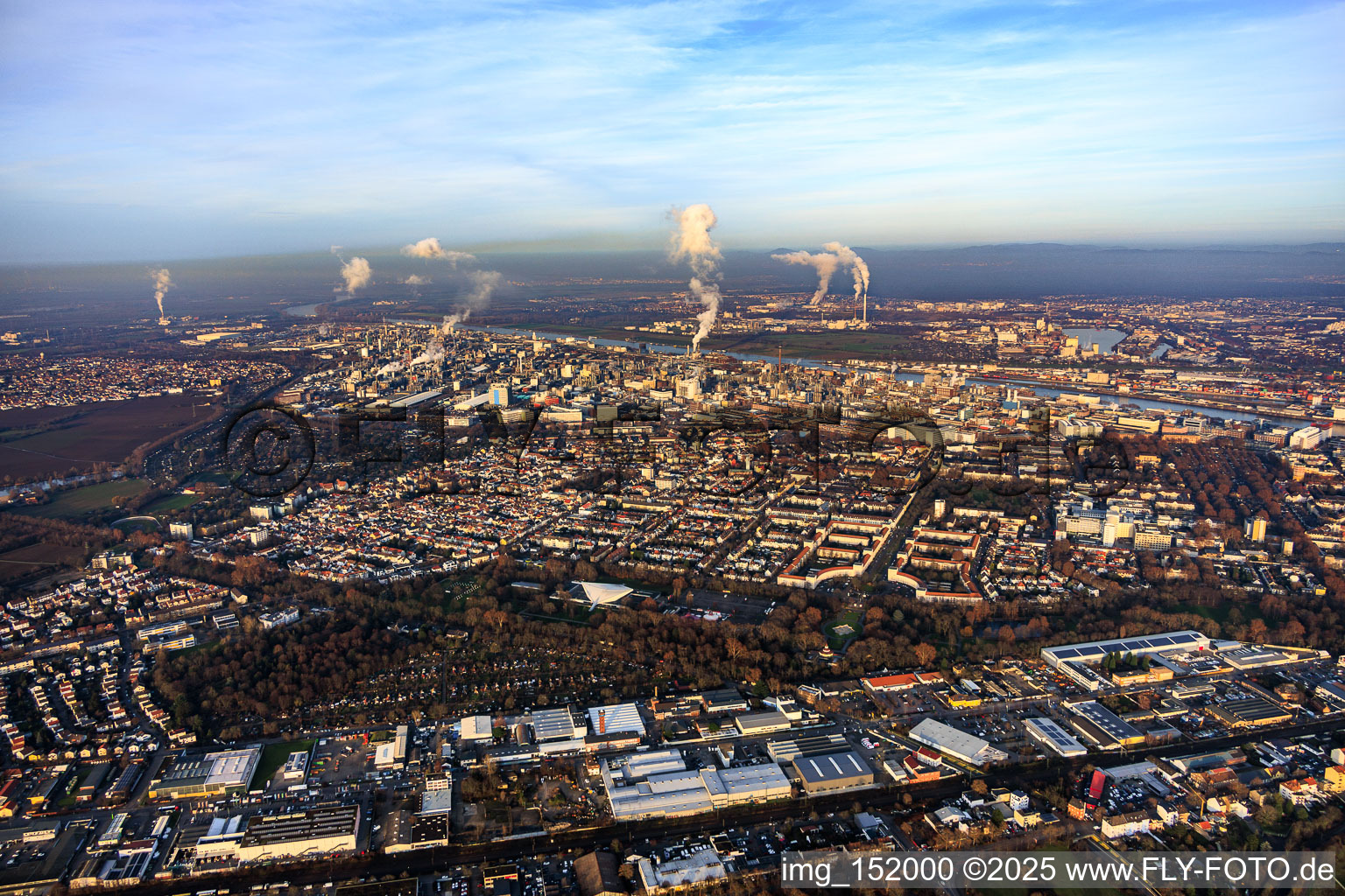 Vue aérienne de Vue du quartier entre Ebertpark et BASF à le quartier Friesenheim in Ludwigshafen am Rhein dans le département Rhénanie-Palatinat, Allemagne