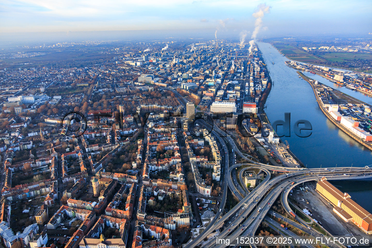 Vue aérienne de Vue du quartier depuis le sud, en face de BASF à le quartier Hemshof in Ludwigshafen am Rhein dans le département Rhénanie-Palatinat, Allemagne