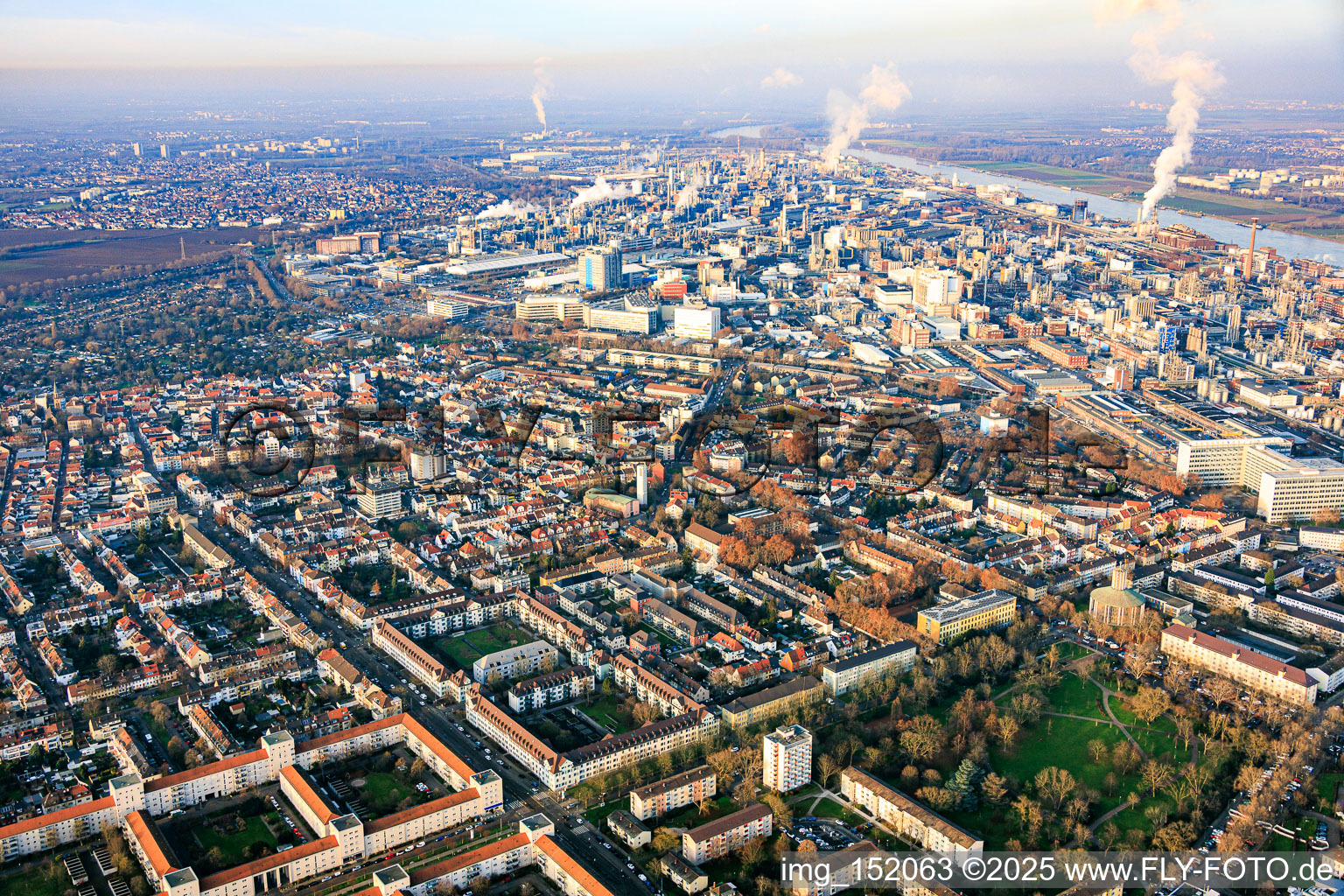 Vue aérienne de Aperçu du district, y compris Alwin-Mittasch-Park à le quartier Friesenheim in Ludwigshafen am Rhein dans le département Rhénanie-Palatinat, Allemagne