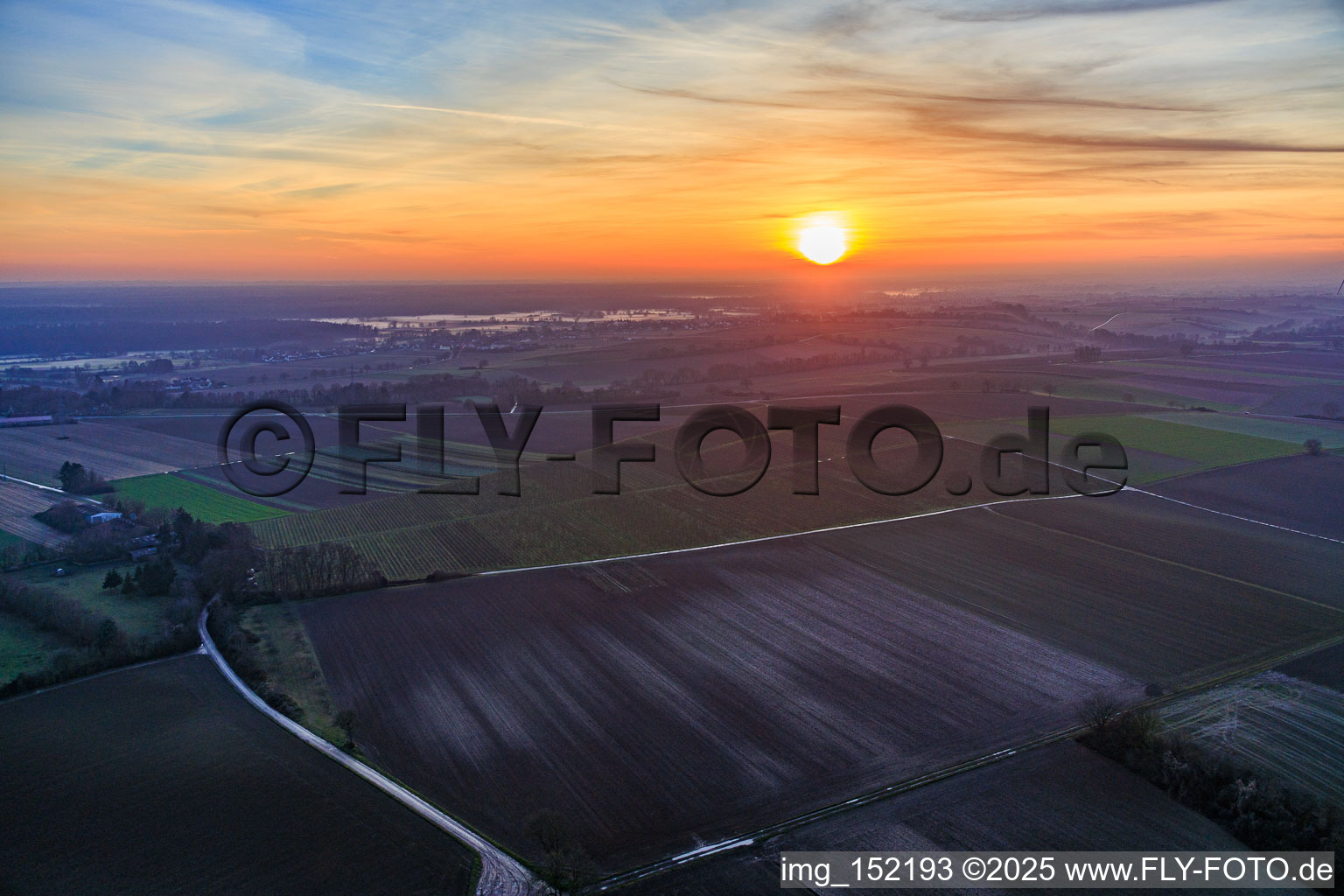Vue aérienne de Brouillard au sol dans le pâturage au coucher du soleil à Freckenfeld dans le département Rhénanie-Palatinat, Allemagne