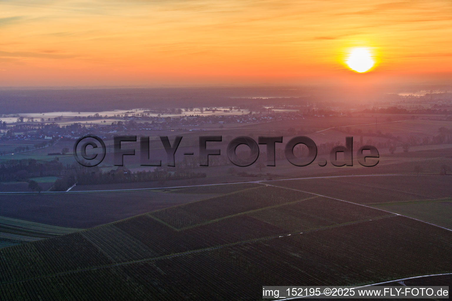 Vue aérienne de Brouillard au sol dans le pâturage au coucher du soleil à Freckenfeld dans le département Rhénanie-Palatinat, Allemagne
