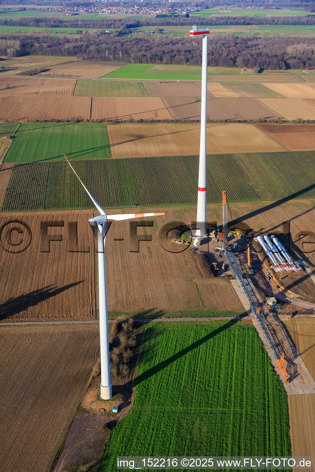 Image drone de Grue géante pour la modernisation du parc éolien Minfeld. JUWI remplace quatre anciennes turbines (GE 1.5) de 2004 par deux nouvelles turbines Vestas V162 modernes, chacune d'une puissance de six MW. à Minfeld dans le département Rhénanie-Palatinat, Allemagne