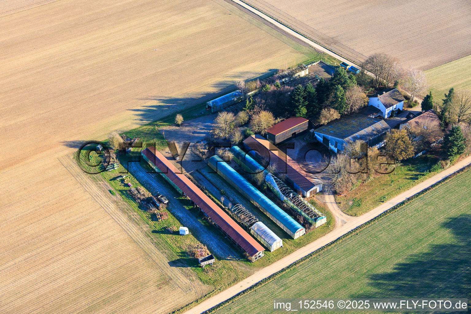 Vue aérienne de Dans les Kieseläckern à Wörth am Rhein dans le département Rhénanie-Palatinat, Allemagne