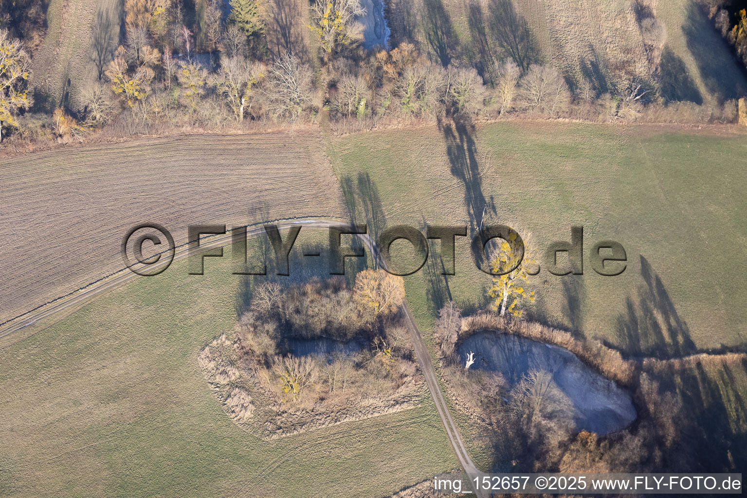 Vue aérienne de Étangs gelés dans les plaines inondables à Wörth am Rhein dans le département Rhénanie-Palatinat, Allemagne