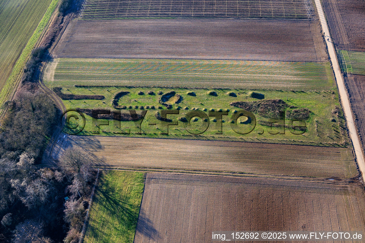 Vue aérienne de Biotope avec de jeunes arbres à Herxheim bei Landau dans le département Rhénanie-Palatinat, Allemagne