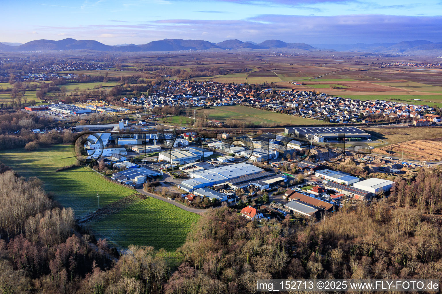 Vue aérienne de Zone industrielle de Große Ahlmühle à Wörth am Rhein dans le département Rhénanie-Palatinat, Allemagne