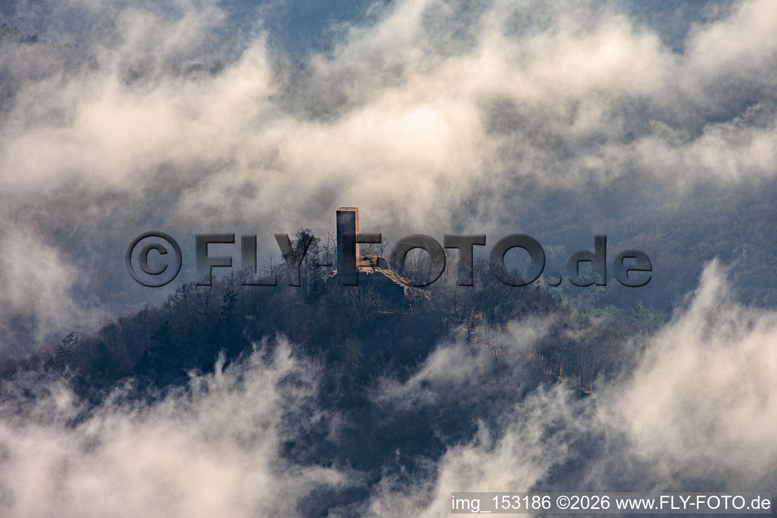 Vue aérienne de Ruines du château de Scharfenberg à Wolken à Leinsweiler dans le département Rhénanie-Palatinat, Allemagne