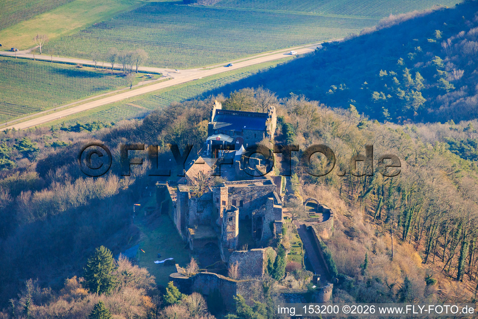 Vue aérienne de Ruines du château de Madenburg vues du nord à Eschbach dans le département Rhénanie-Palatinat, Allemagne