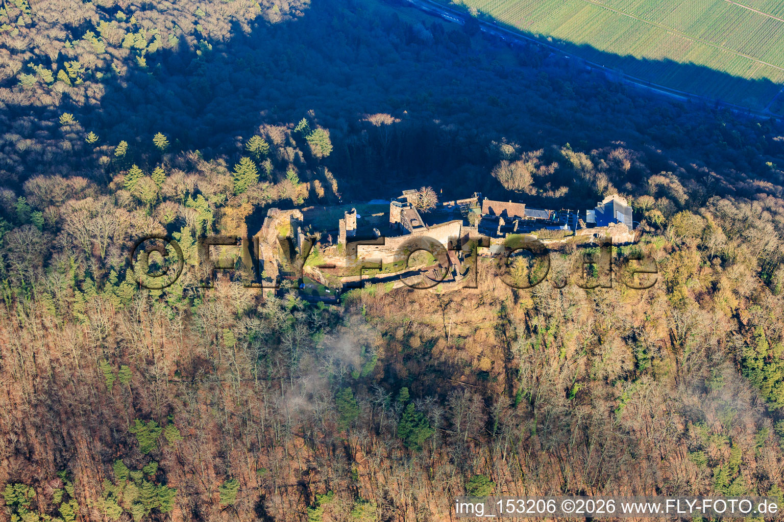 Vue aérienne de Ruines du château de Madenburg vues de l'ouest à Waldhambach dans le département Rhénanie-Palatinat, Allemagne
