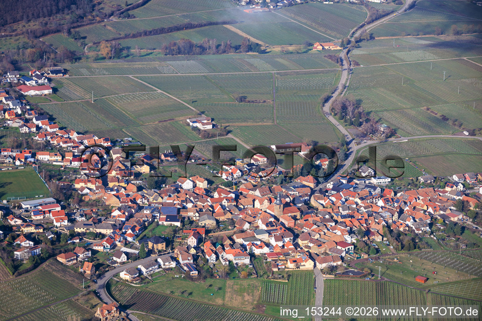 Vue aérienne de Ville viticole du sud à Frankweiler dans le département Rhénanie-Palatinat, Allemagne