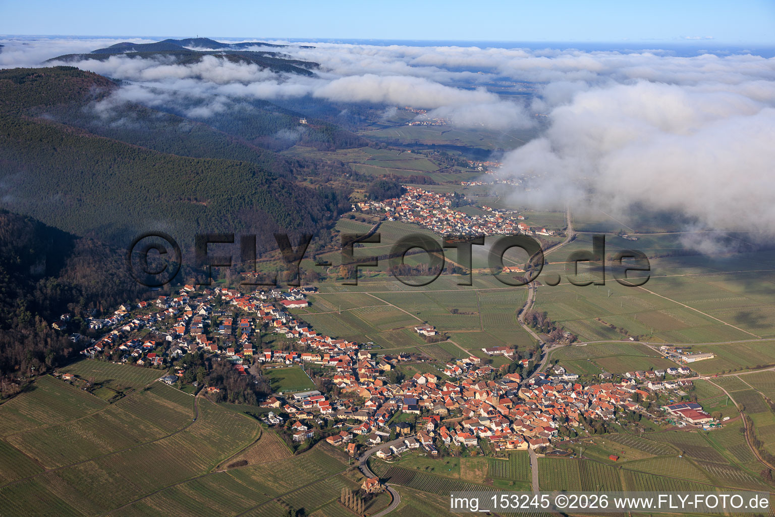 Vue aérienne de Village viticole sous les nuages du sud à Frankweiler dans le département Rhénanie-Palatinat, Allemagne