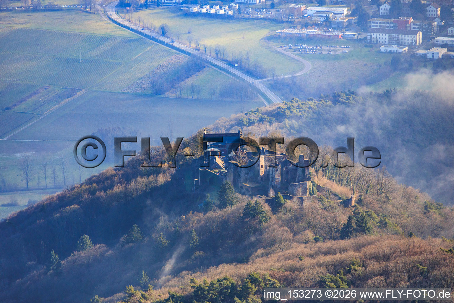 Vue aérienne de Ruines du château de Madenburg vues du nord à Leinsweiler dans le département Rhénanie-Palatinat, Allemagne