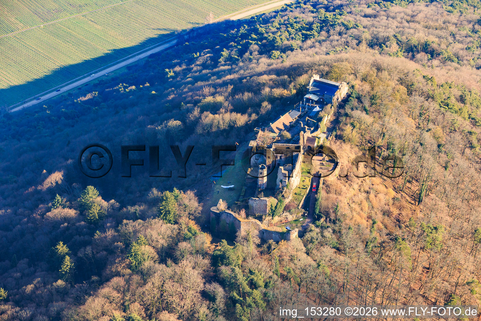 Vue aérienne de Ruines du château de Madenburg vues du nord à Eschbach dans le département Rhénanie-Palatinat, Allemagne