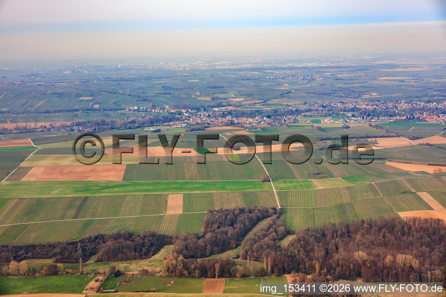 Vue aérienne de Quartier Ingenheim in Billigheim-Ingenheim dans le département Rhénanie-Palatinat, Allemagne