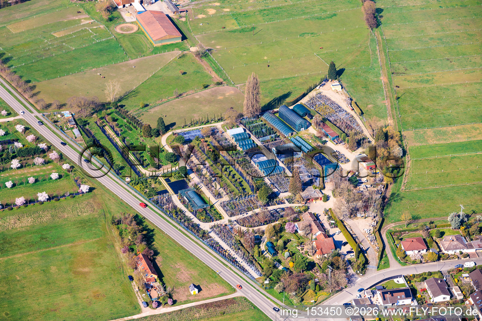 Pépinière Toskanapark à le quartier Speyerdorf in Neustadt an der Weinstraße dans le département Rhénanie-Palatinat, Allemagne