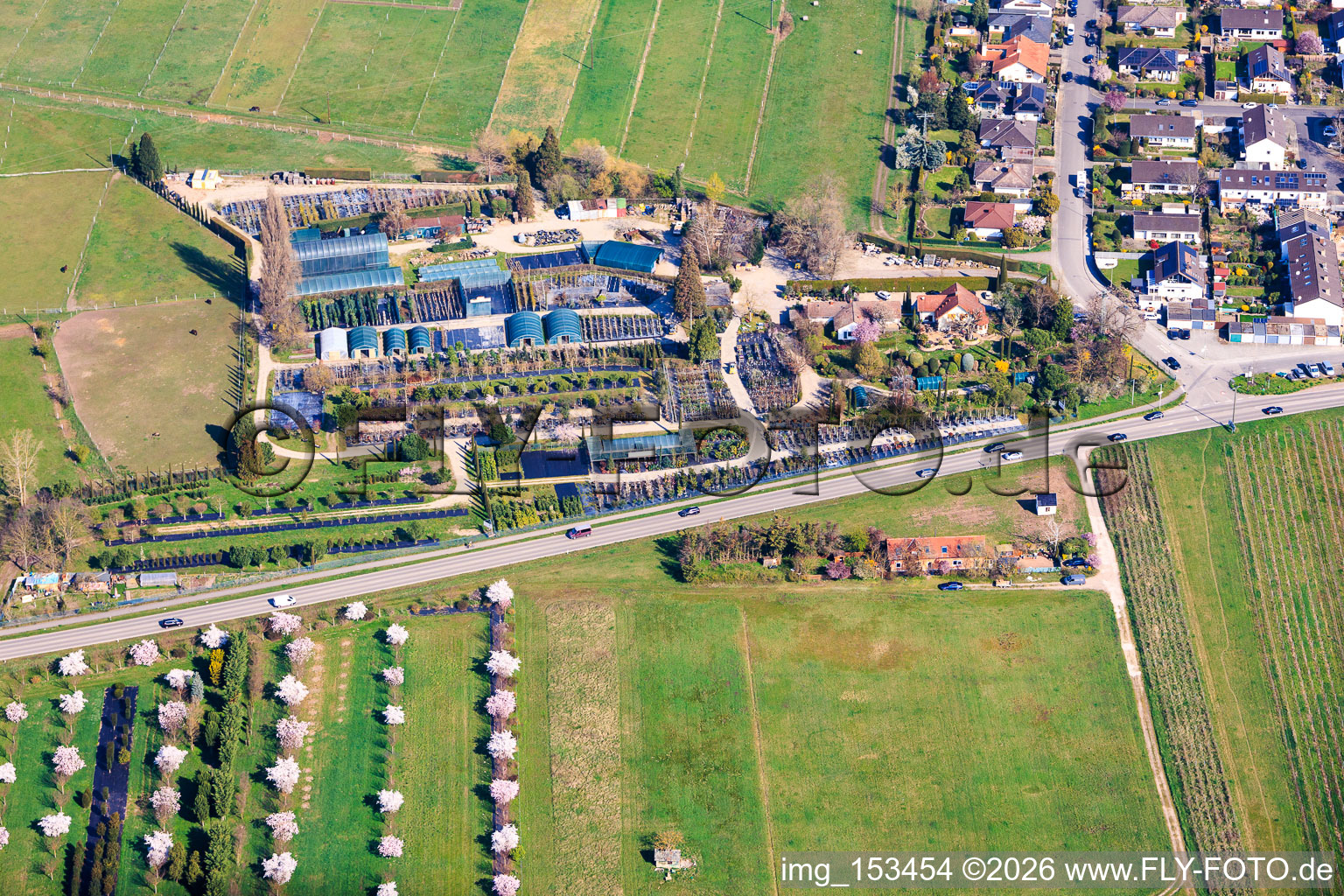 Pépinière Toskanapark à le quartier Speyerdorf in Neustadt an der Weinstraße dans le département Rhénanie-Palatinat, Allemagne