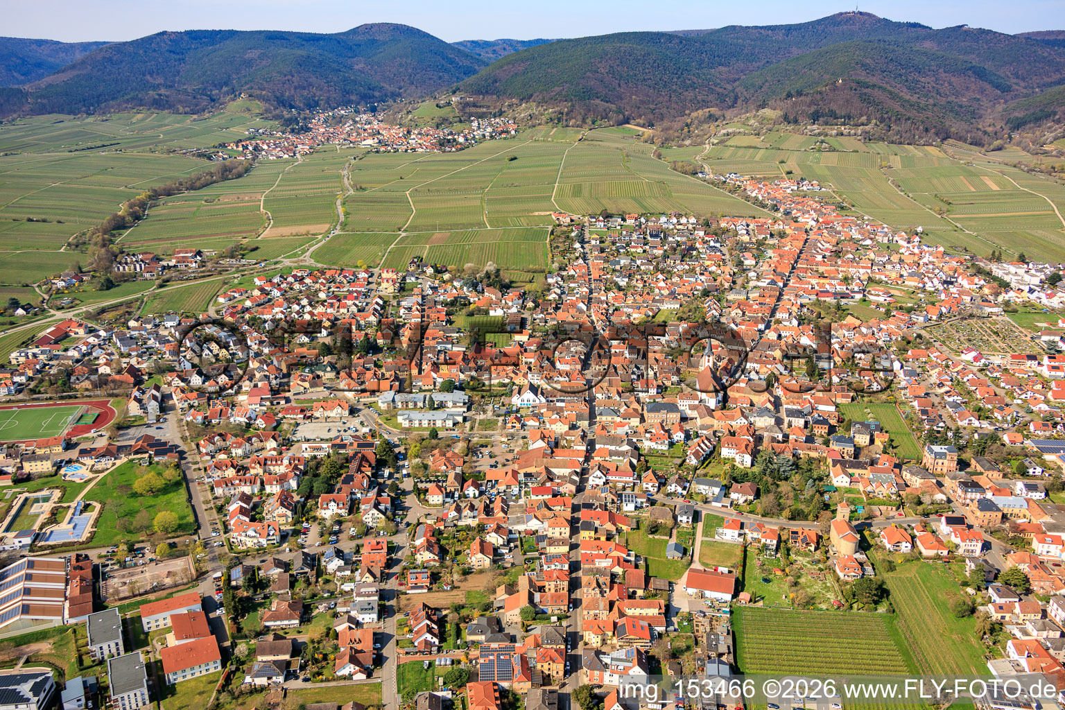 De l'est à Maikammer dans le département Rhénanie-Palatinat, Allemagne