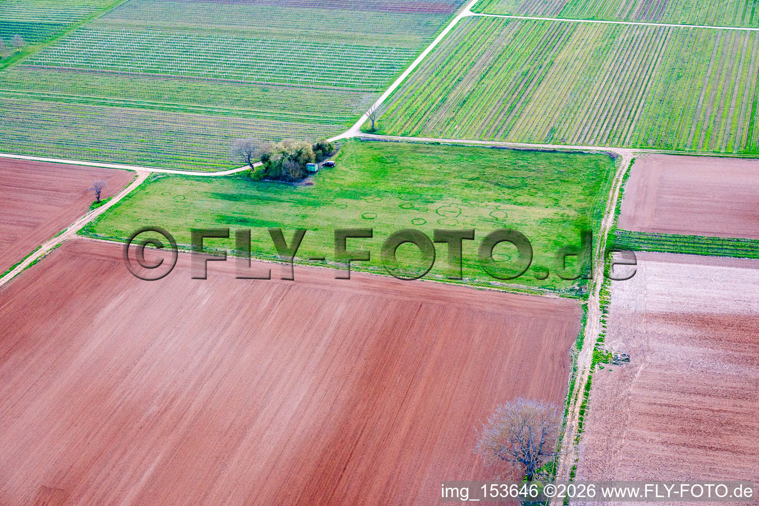 Aérodrome UL de l'association Motorschirme-Freunde-Pfalz eV (Amis du parapente motorisé du Palatinat) sur le site de l'ancien village de Schreinshausen à Meckenheim dans le département Rhénanie-Palatinat, Allemagne