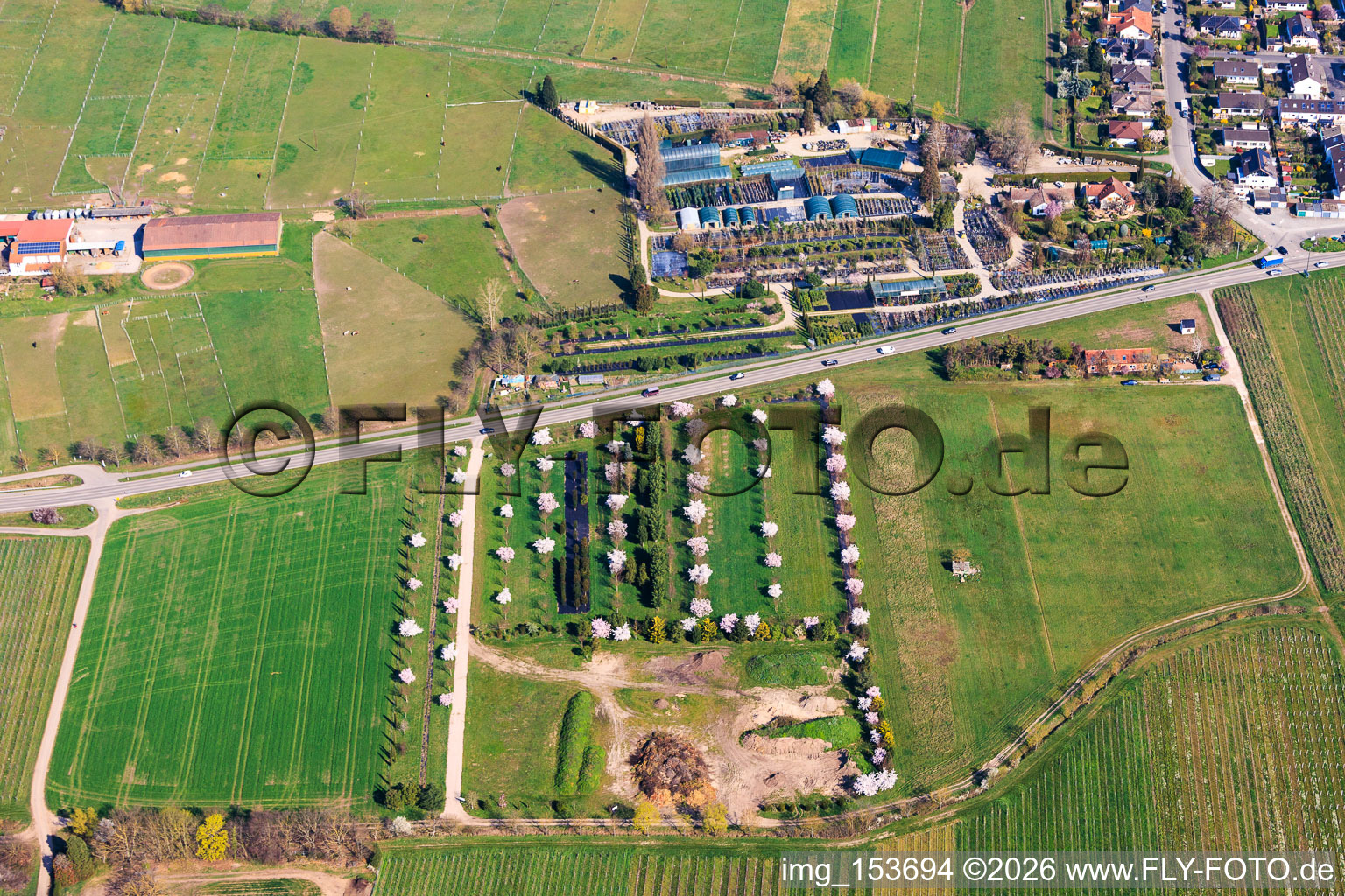 Pépinière Toskanapark à le quartier Speyerdorf in Neustadt an der Weinstraße dans le département Rhénanie-Palatinat, Allemagne