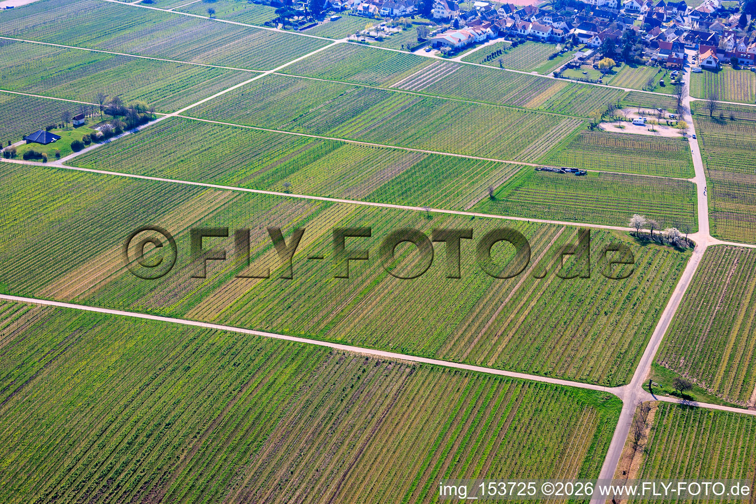 Vignobles et aire de stationnement pour camping-cars au nord du village à Rhodt unter Rietburg dans le département Rhénanie-Palatinat, Allemagne