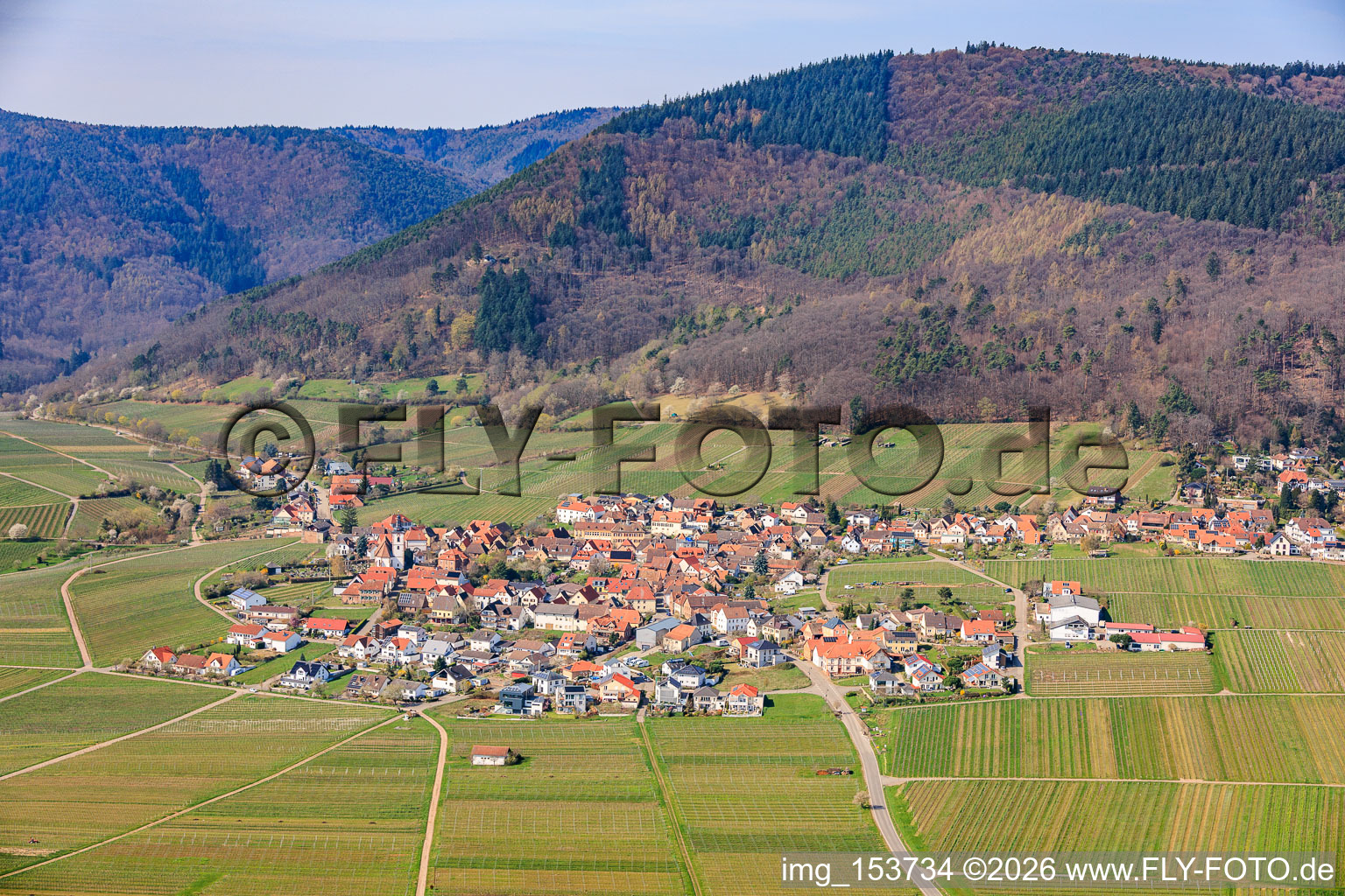 Village de vignerons vu de l'est au printemps à Weyher in der Pfalz dans le département Rhénanie-Palatinat, Allemagne