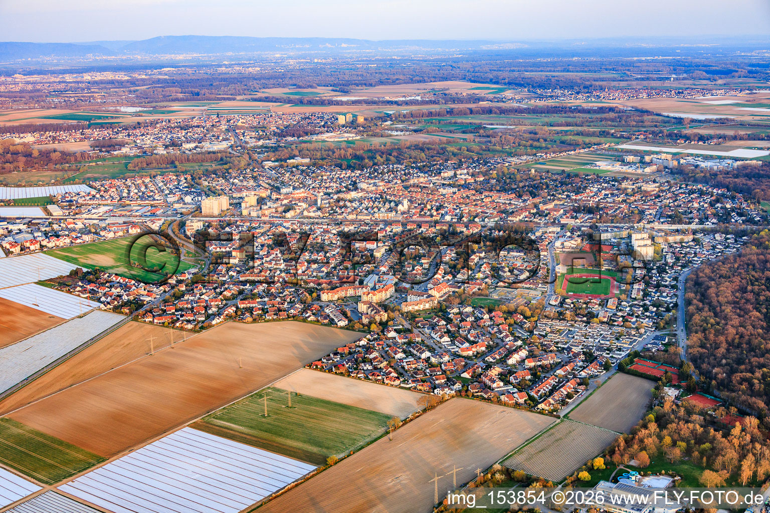 De l'ouest à Limburgerhof dans le département Rhénanie-Palatinat, Allemagne