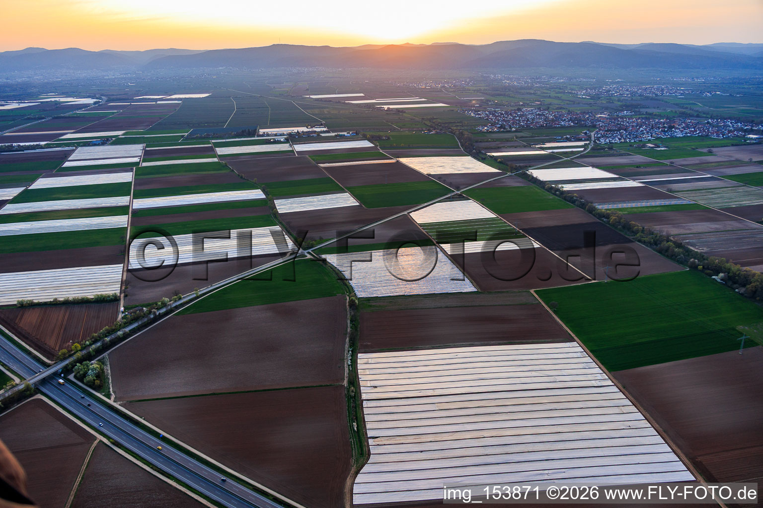 Chauves-souris recouvertes de papier aluminium dans la région du Vorderpfalz à Meckenheim dans le département Rhénanie-Palatinat, Allemagne
