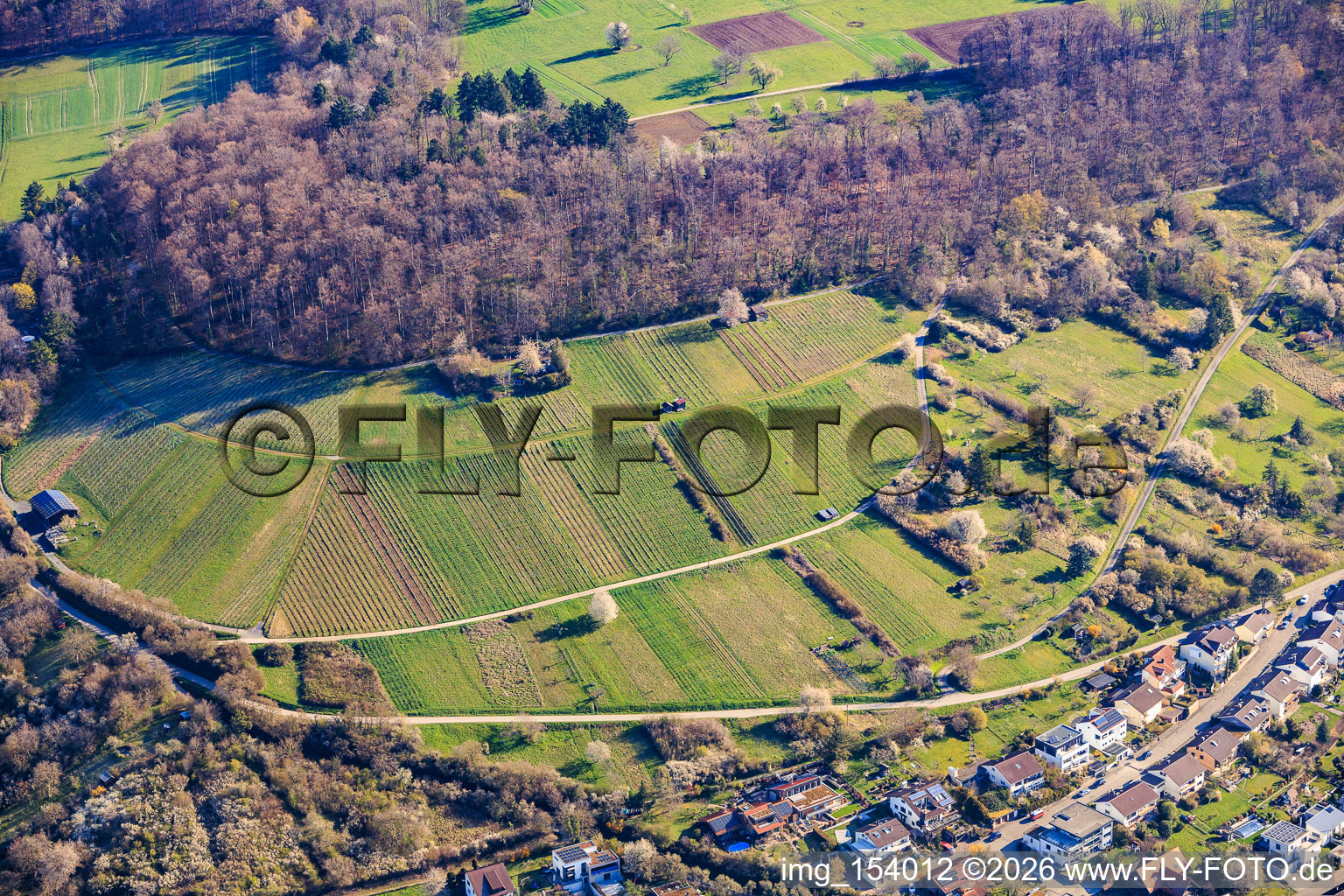 Les vignobles des sites de Dietlinger Klepberg et d'Ellmendinger Keulebuckel à le quartier Dietlingen in Keltern dans le département Bade-Wurtemberg, Allemagne