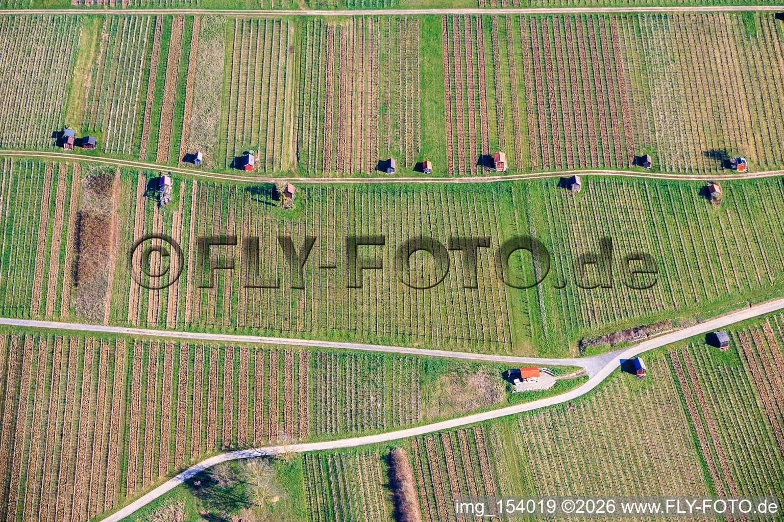 Cabanes de vigne sur le Neuberg des vignobles Dietlinger Klepberg et Ellmendinger Keulebuckel à le quartier Dietlingen in Keltern dans le département Bade-Wurtemberg, Allemagne