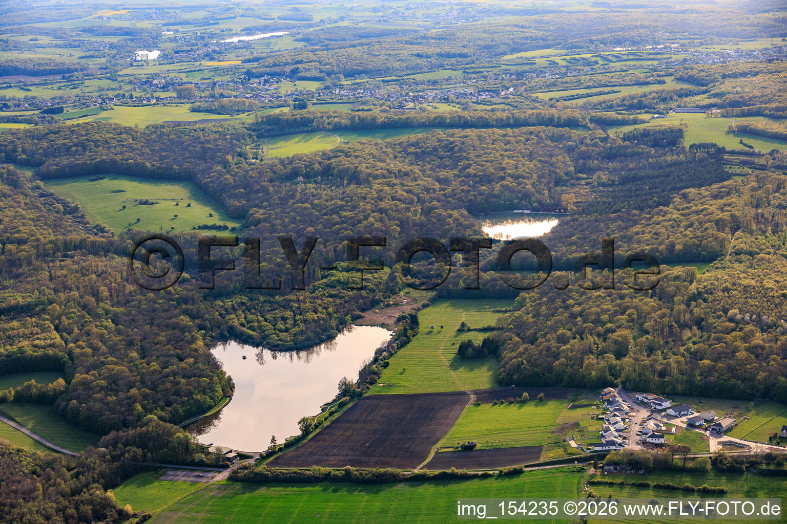 Deux étangs piscicoles en forêt Étang de Diebling et Étang de Metzing à Metzing dans le département Moselle, France