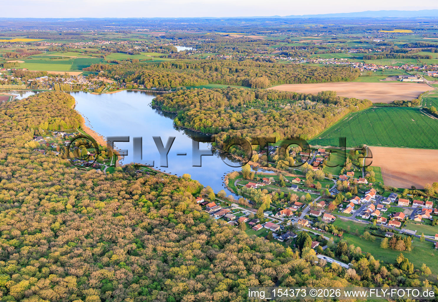 Etang des marais en forêt à Rémering-lès-Puttelange dans le département Moselle, France