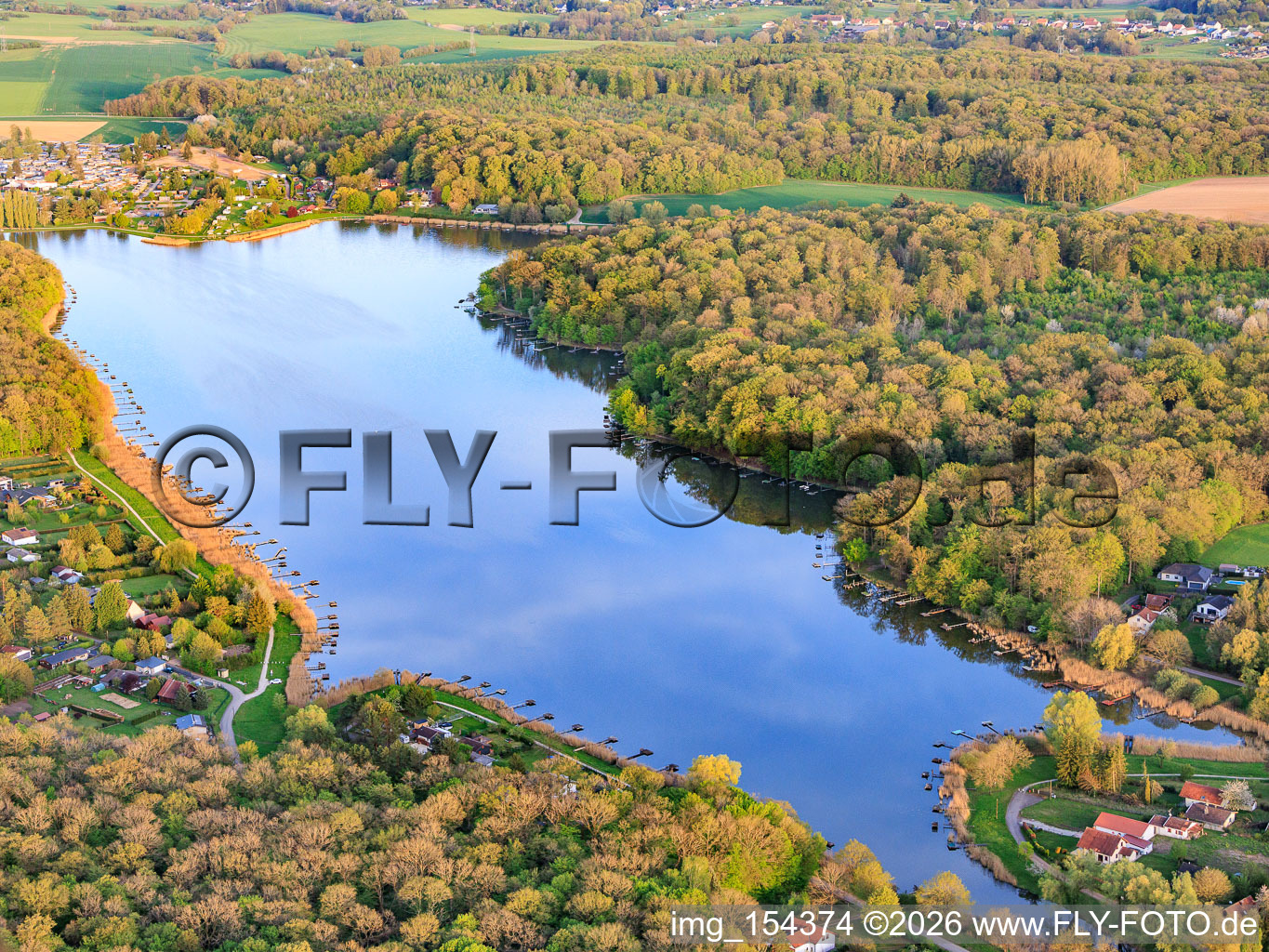 Etang des marais en forêt à Rémering-lès-Puttelange dans le département Moselle, France