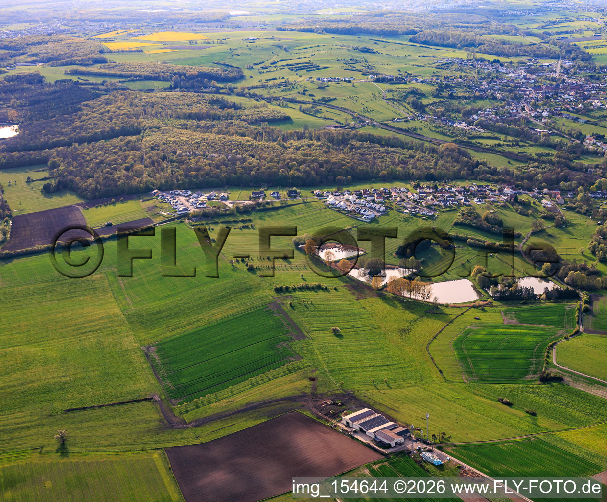 Quatre étangs rue des Étangs à Metzing dans le département Moselle, France