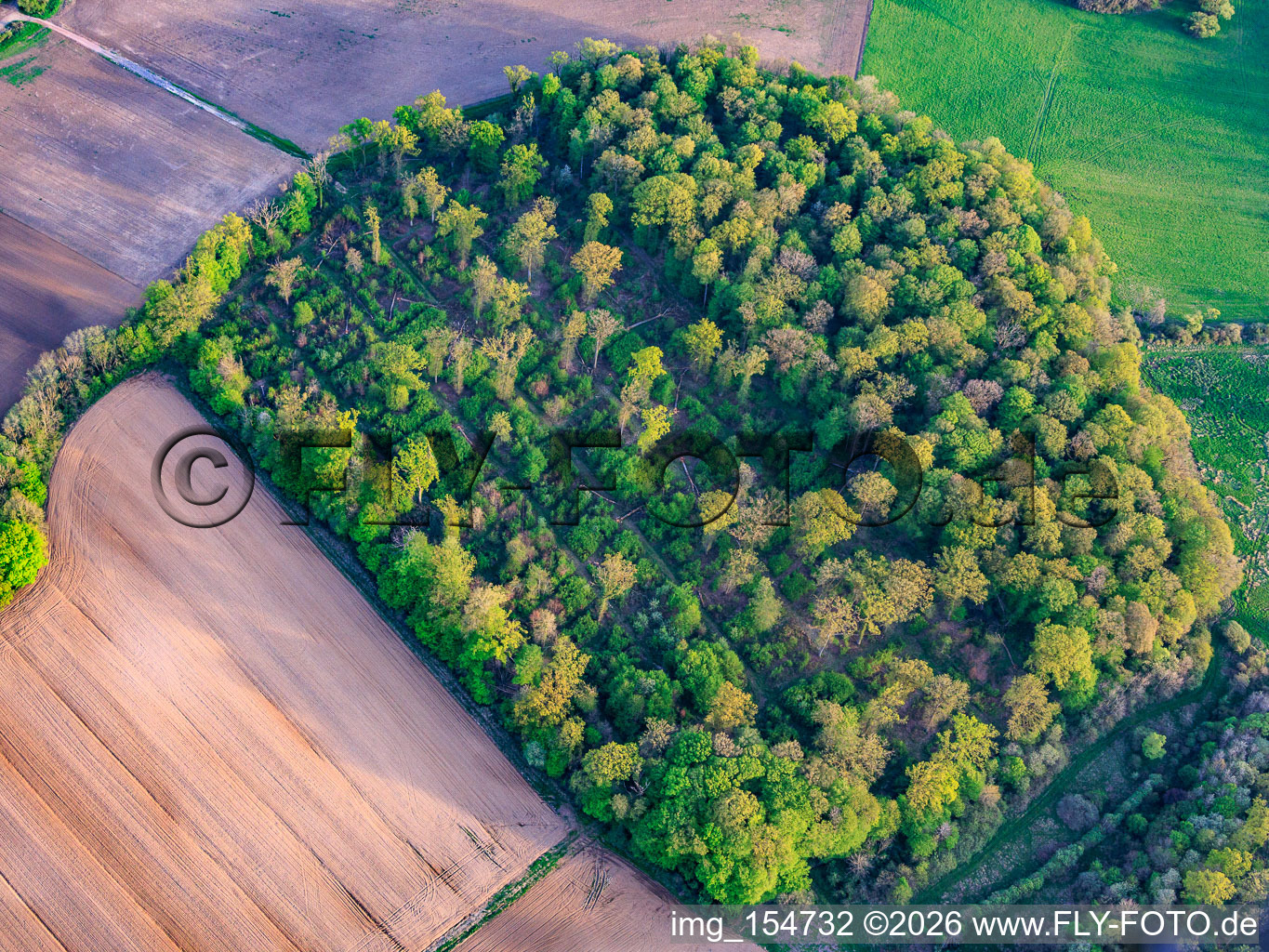 Terrains envahis par la végétation sur l'ancien aérodrome militaire de Grostenquin à Lixing-lès-Saint-Avold dans le département Moselle, France