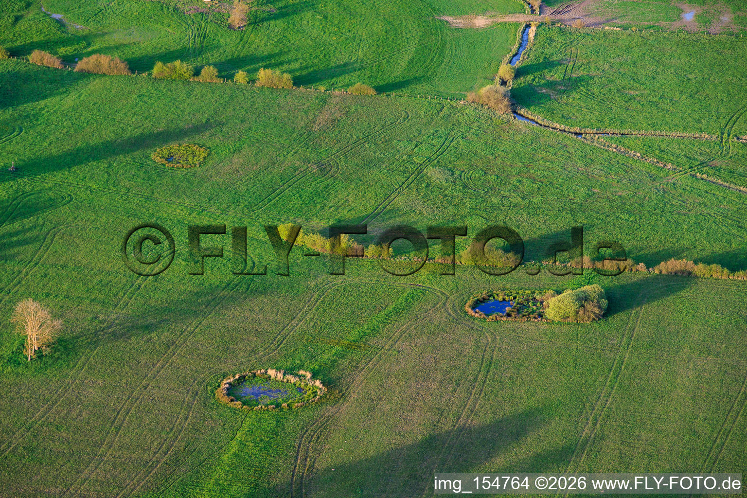 Points d'eau circulaires dans les prairies à Grostenquin dans le département Moselle, France