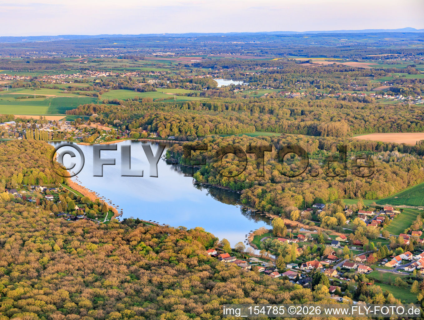 Etang des marais en forêt à Rémering-lès-Puttelange dans le département Moselle, France