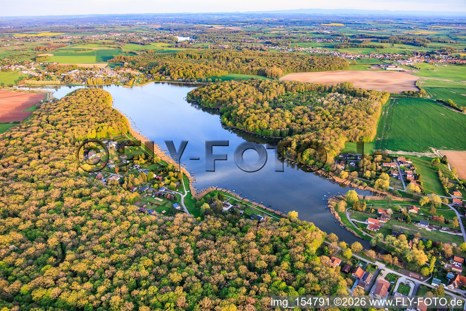 Etang des marais en forêt à Rémering-lès-Puttelange dans le département Moselle, France