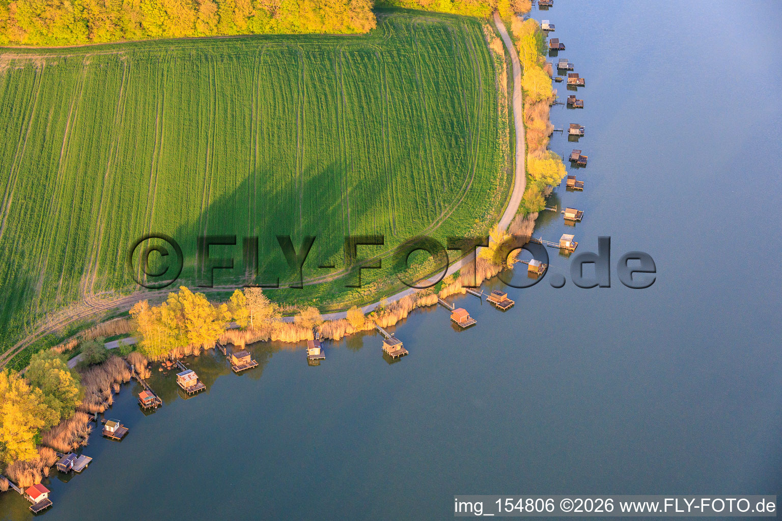 Des promenades en bois bordées de cabanes de pêcheurs longent les rives de l'étang du Welschhof. à Puttelange-aux-Lacs dans le département Moselle, France
