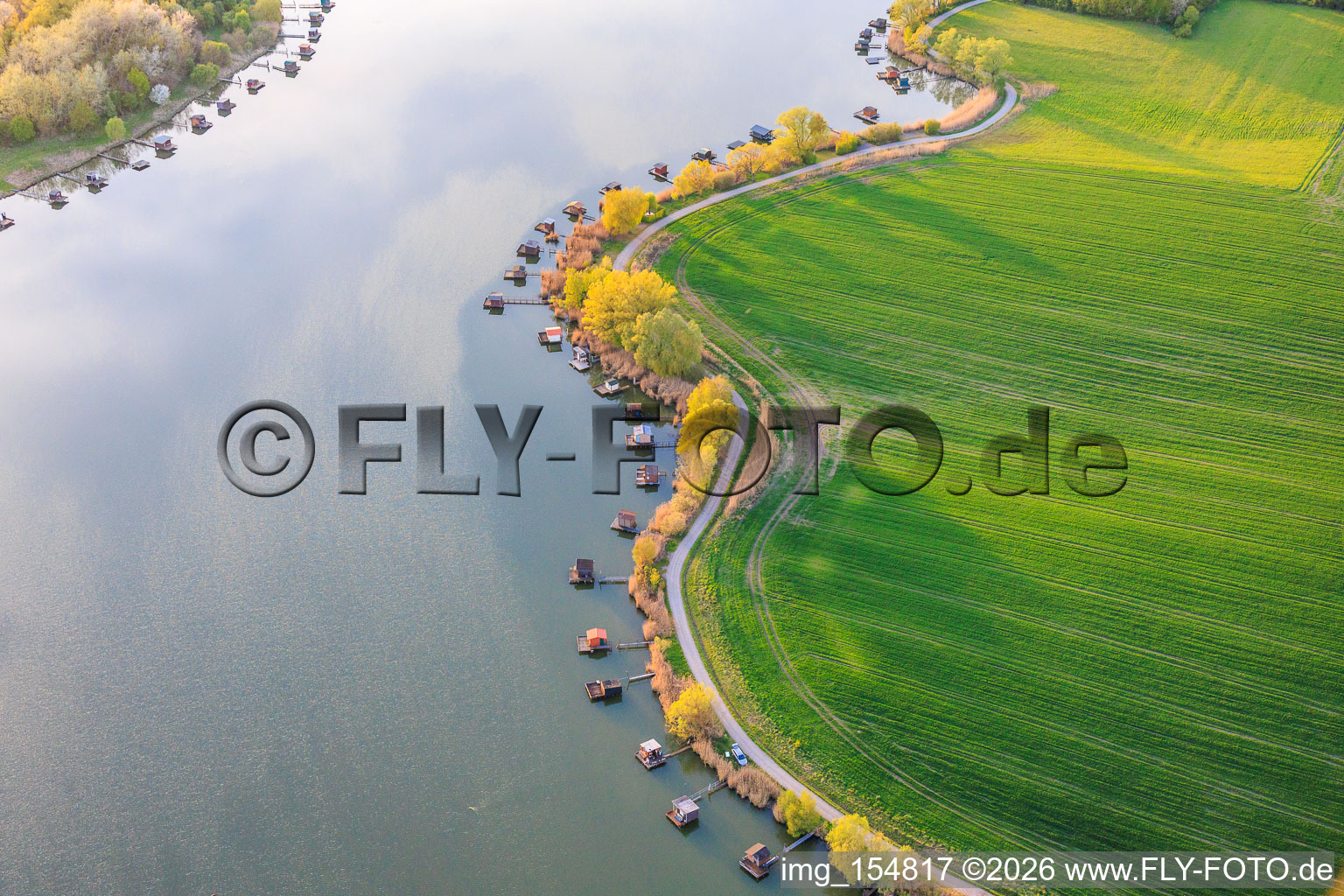 Des promenades en bois bordées de cabanes de pêcheurs longent les rives de l'étang du Welschhof. à Puttelange-aux-Lacs dans le département Moselle, France