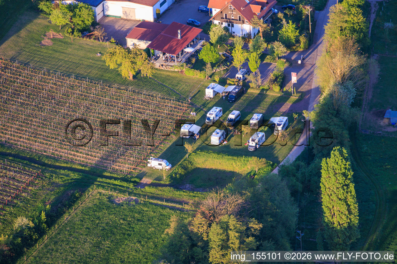 Emplacement pour camping-car au domaine viticole Junker à Sonnenberghof à Impflingen dans le département Rhénanie-Palatinat, Allemagne
