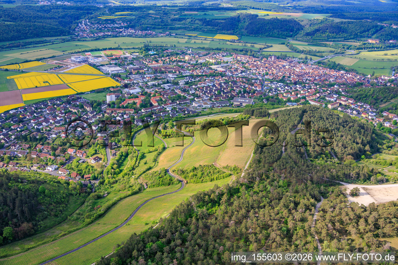 Vignobles de terroir f Hammelburg - Viticulture en Franconie à Hammelburg dans le département Bavière, Allemagne