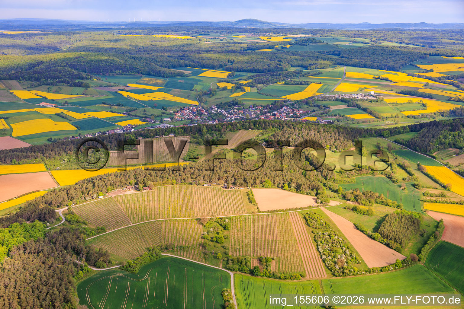 Les vignobles de Müller ! Le domaine viticole et la grange à vin à Hammelburg dans le département Bavière, Allemagne