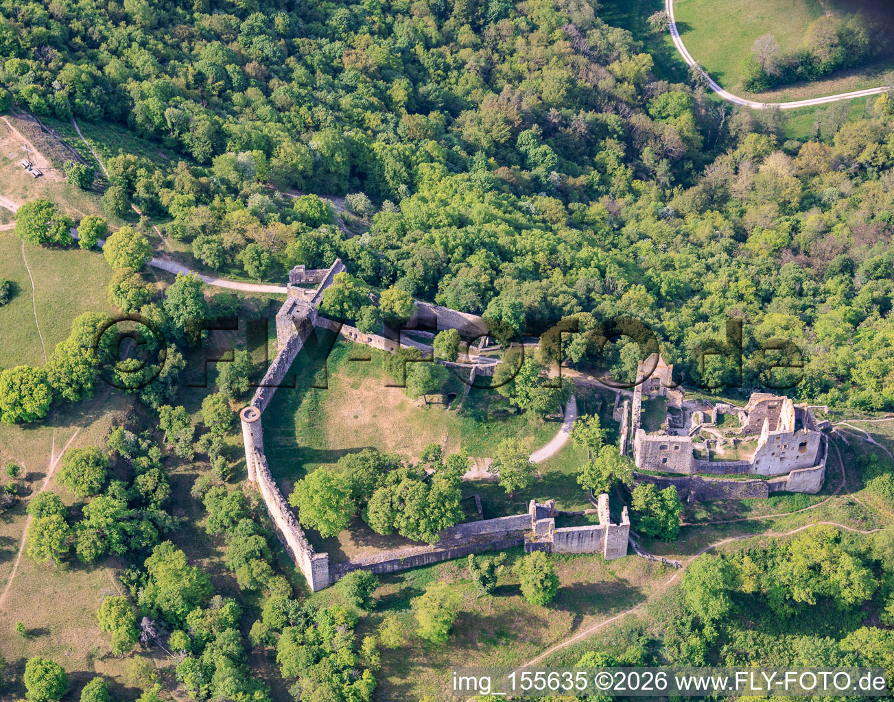 Réserve naturelle « Ruine Homburg » et ruines du château de Homburg près de Gössenheim à Gössenheim dans le département Bavière, Allemagne