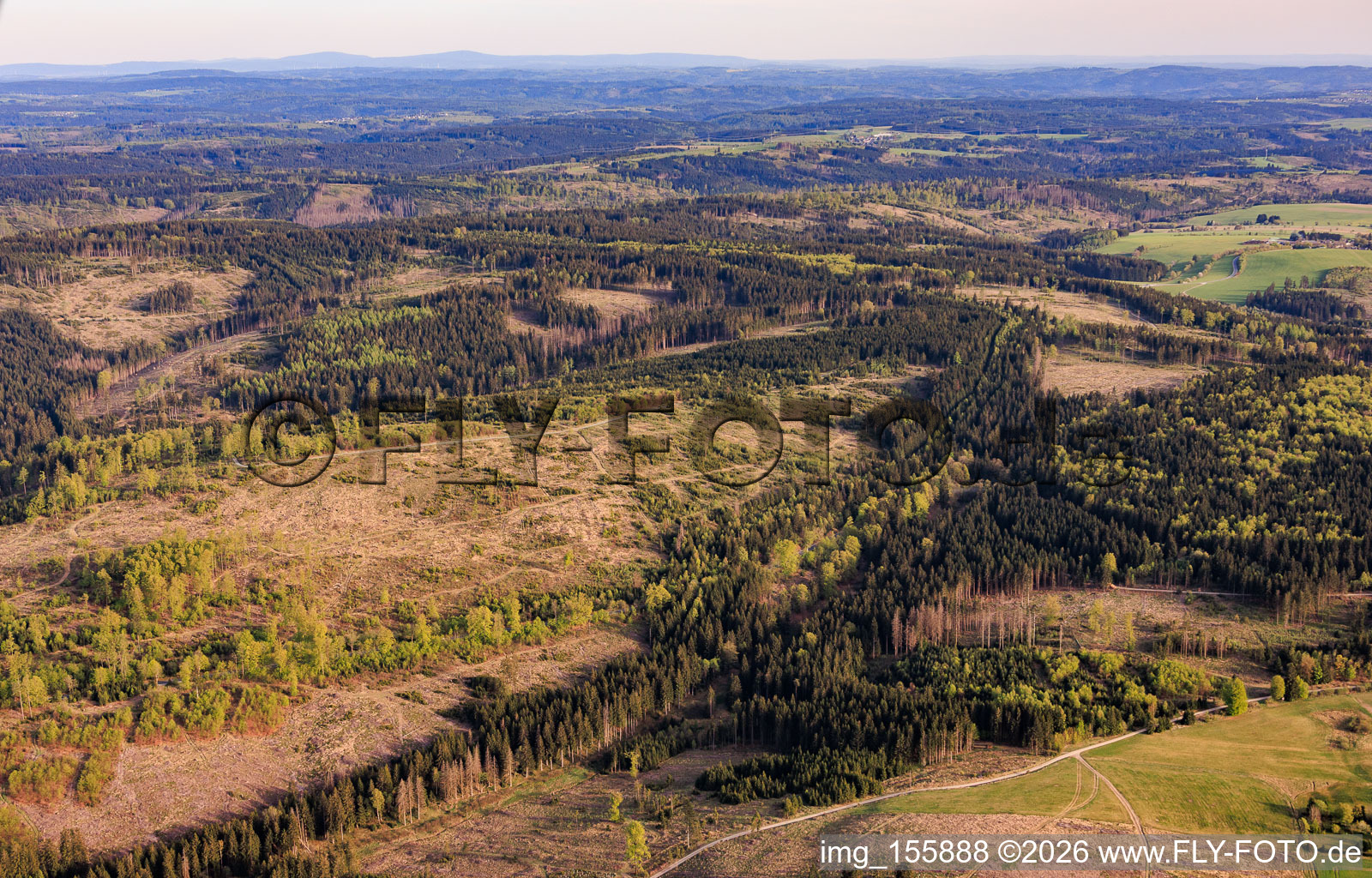 Ancienne frontière interallemande entre la Bavière et la Thuringe, les zones forestières de Thuringe étant gravement endommagées par les scolytes à Lehesten dans le département Thuringe, Allemagne