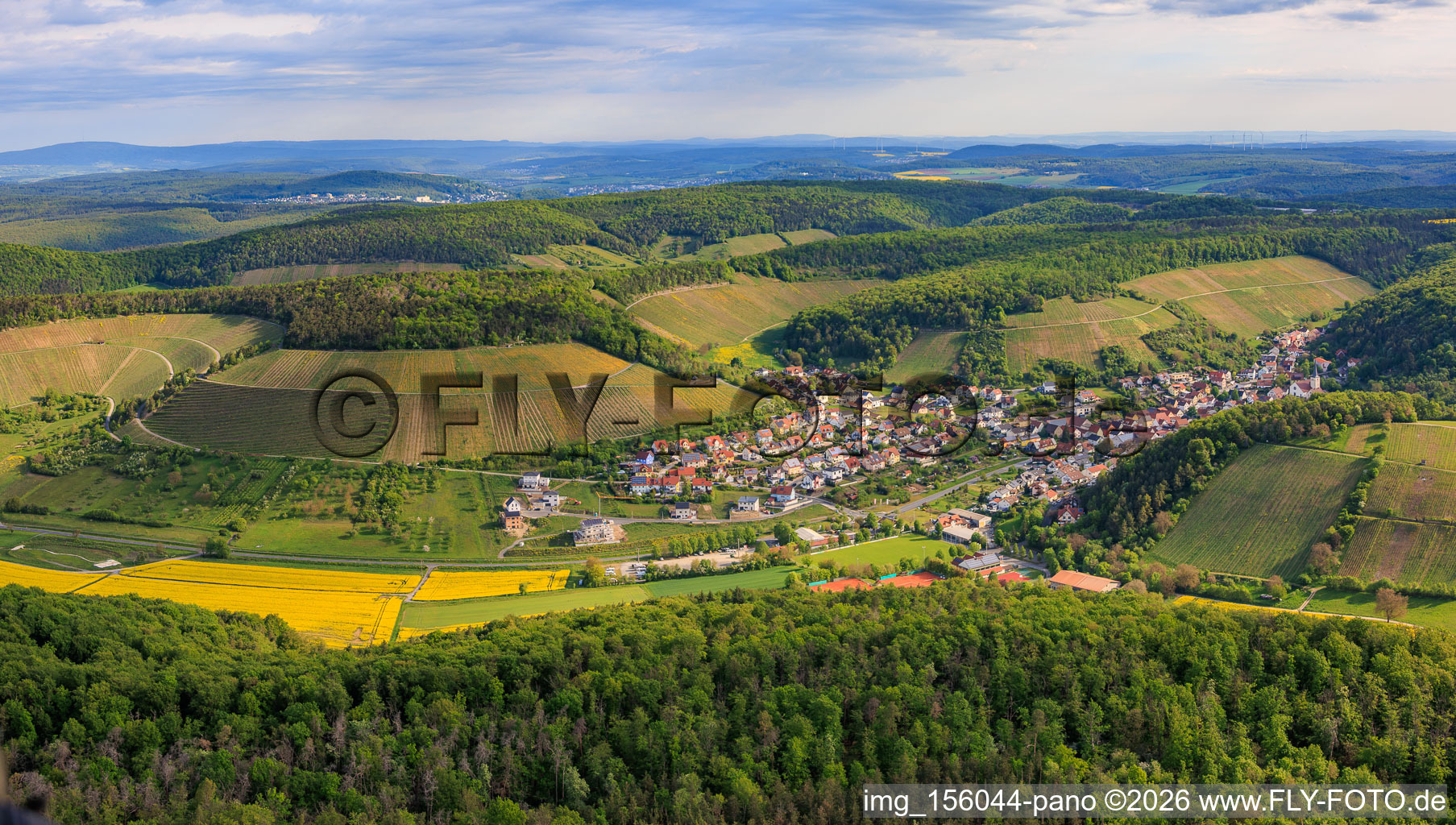 Vignobles entre vallée et forêt, exposés au sud à Ramsthal dans le département Bavière, Allemagne