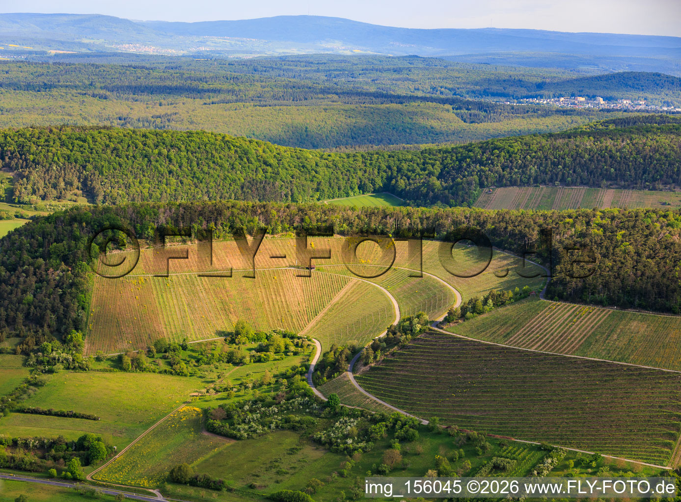 Vignobles entre vallée et forêt, exposés au sud à Ramsthal dans le département Bavière, Allemagne