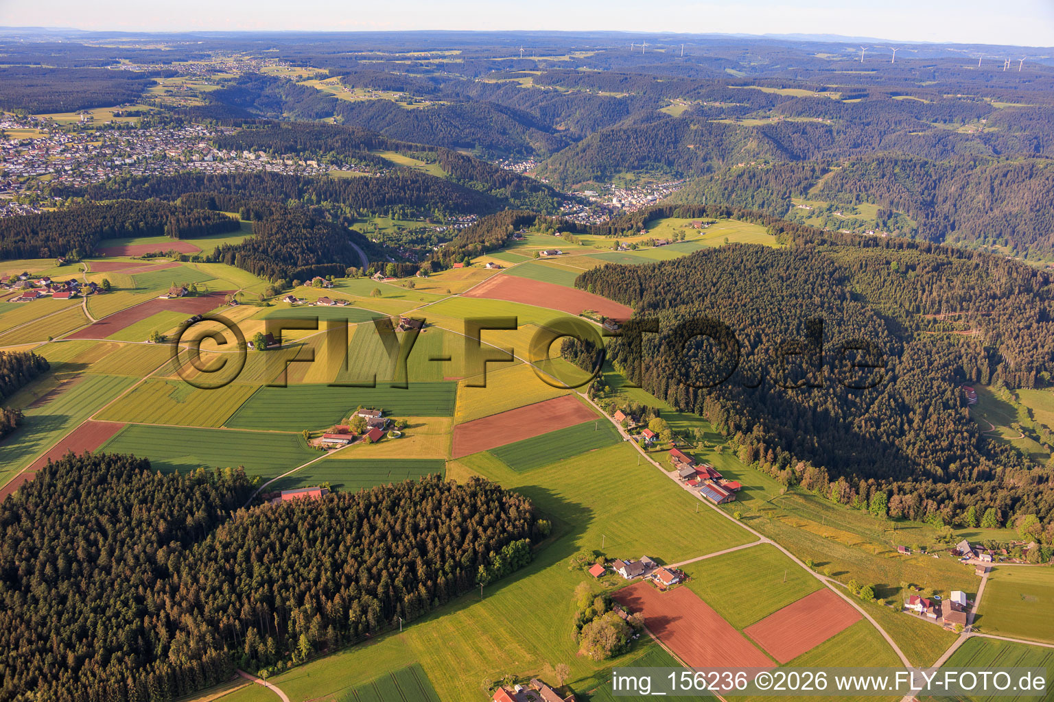 Des fermes déplacées sur le plateau depuis le nord à Schramberg dans le département Bade-Wurtemberg, Allemagne