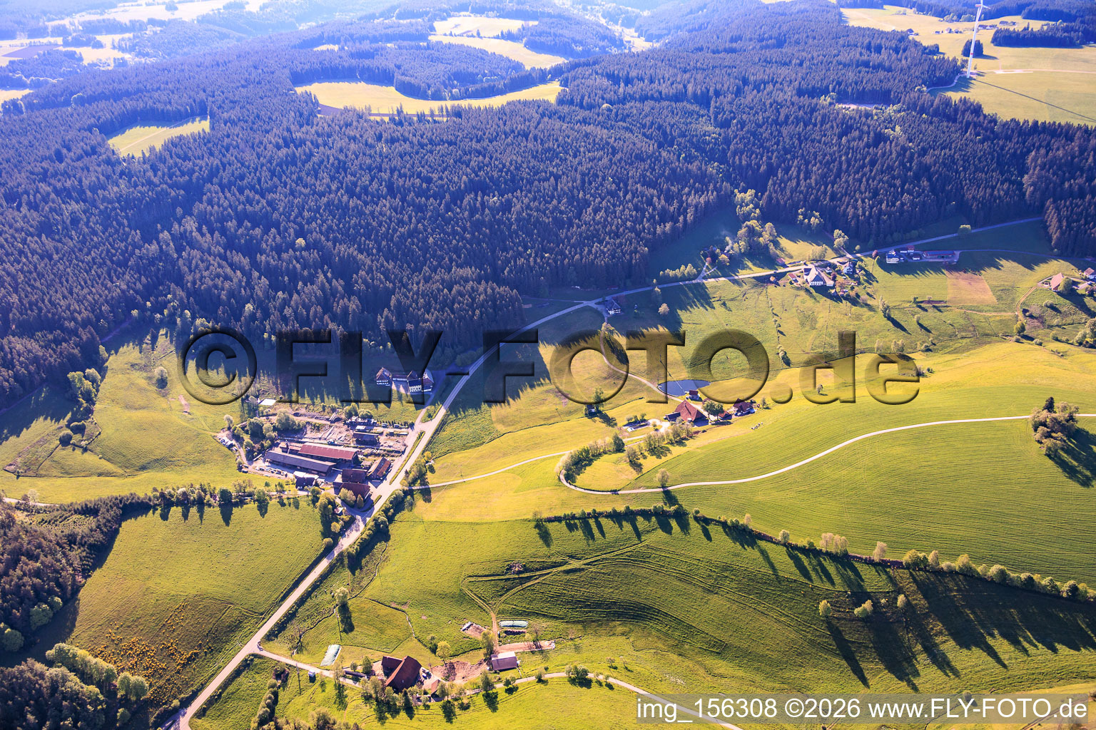 Appartement de vacances Sägebauernhof à le quartier Reichenbach in Hornberg dans le département Bade-Wurtemberg, Allemagne
